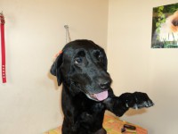 /album/fotos/de-todo-137-jpg/